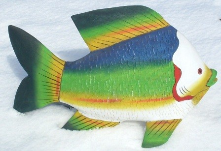Fisch 1