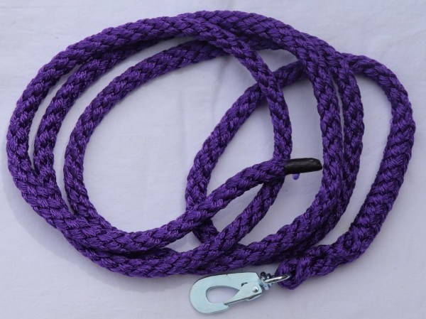 Leine violett